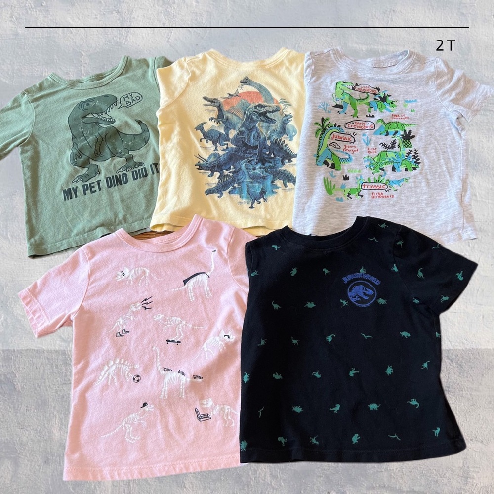 2T Toddler Dinosaur T-shirt Bundle